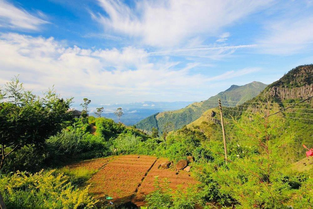 Misty Mountain Lodge Ohiya Ngoại thất bức ảnh